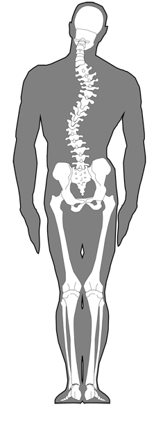 腰椎や骨盤の歪みは優柔不断や怠け癖、億劫などの行動力の低下に繋がります。