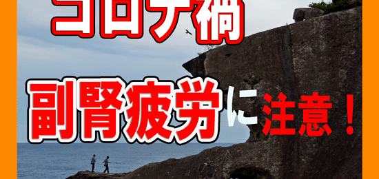 ストレス疲れで副腎が疲弊