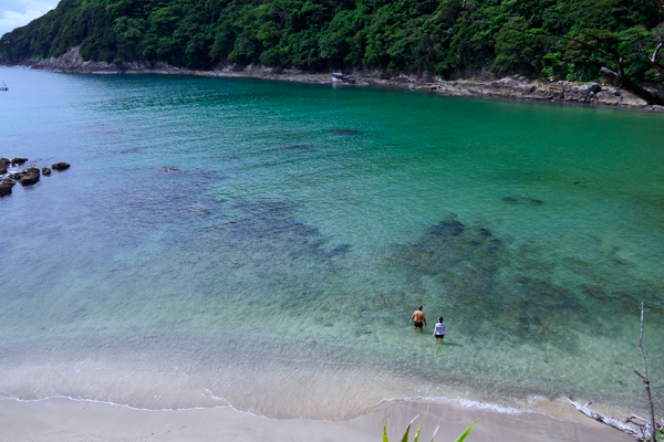 湿度が高くても感染するインフルエンザ