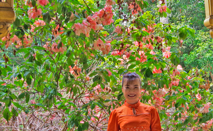感情労働ストレス対策研修承ります