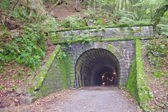 健康運動支援ならけんこう総研