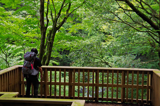 山歩きで運動支援・メンタルヘルス対策を改善させます