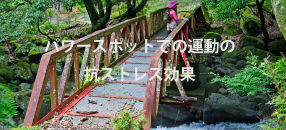 運動サポートでメンタルヘルス対策を解決します