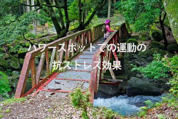 運動サポートでメンタルヘルス対策を解決します