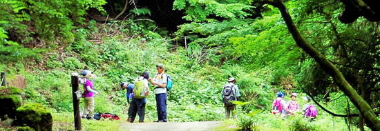 けんこう総研ではアウトドアウォーキングを提唱しています