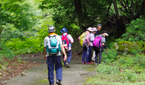 健康運動支援ならけんこう総研