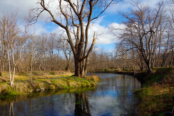 メンタルヘルスが日々穏やかに保てる脳の健康を提供しちます。