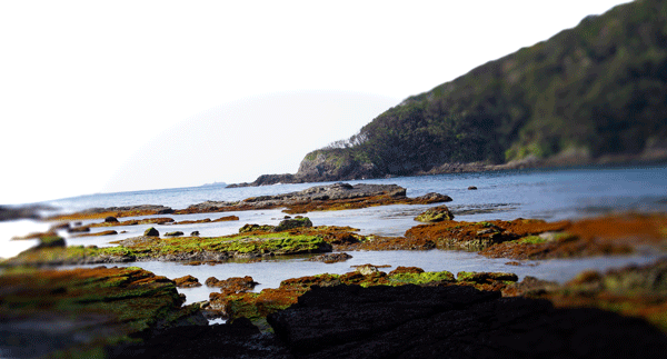 コロナストレスで心身が弱らないように