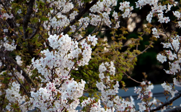 ストレスマネジメント