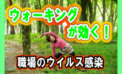 運動の免疫体力向上効果