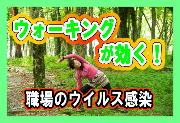 運動の免疫体力向上効果