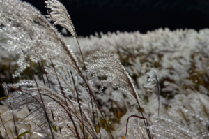 悔しさや、当たりどころのない怒りがふつふつと湧いてきたら、先ず深呼吸