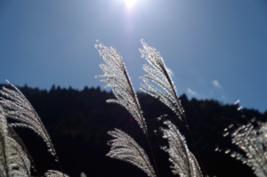 悔しさや、当たりどころのない怒りがふつふつと湧いてきたら、先ず深呼吸