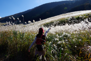 心身症は社会的な環境からくる悩みがとても深く関係している病気
