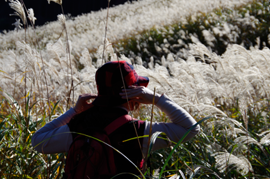 仕事がうまくいかず焦ったりイライラしているときは呼吸法