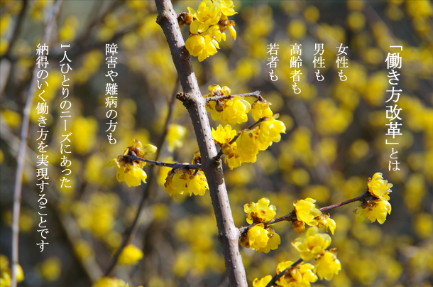 厚生労働省の唱える「働き方改革」を目指しけんこう総研は会社の職が環境を整えてストレスにまけない社員研修をしています。