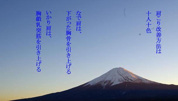 肩こりの原因はストレスによる自律神経の問題です。原因を知り効果的な肩こり解消ストレッチを行いましょう