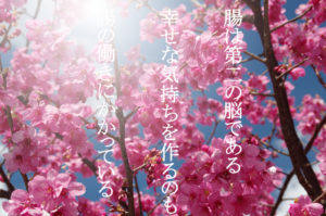 メンタルヘルスの不調やうつ病予防には腸内フローラを増やすことです。乳酸菌と食物繊維で腸内細菌を増やしましょう