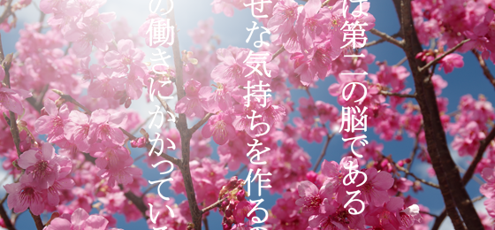 メンタルヘルスの不調やうつ病予防には腸内フローラを増やすことです。乳酸菌と食物繊維で腸内細菌を増やしましょう