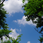 暑いとイライラして仕事が捗らないことありませんか?