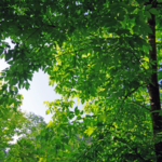 汗をかかないと運動ではない、その気持ちが余計体力低下に