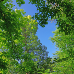 汗をかかないと運動ではない、その気持ちが余計体力低下に