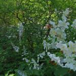 汗をかかないと運動ではない、その気持ちが余計体力低下に