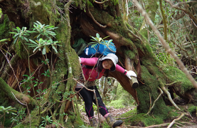 楽しかった運動は唯一ピクニック