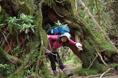 楽しかった運動は唯一ピクニック
