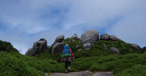登山は運動強度が高い有酸素運動ですが決して痩せません。その理由は