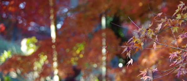 運動嫌いで不摂生な人ほど本当は健康に関心があるのですその理由は・・・
