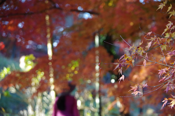 運動嫌いで不摂生な人ほど本当は健康に関心があるのですその理由は・・・