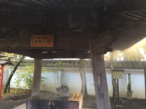 短期間で結果がでるダイエットは脂肪肝になりやすい