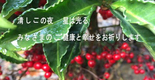 あなたの笑顔を思うあなたの健康を思うX'mass