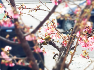 ストレス対処には心と身体と行動の反応をを把握