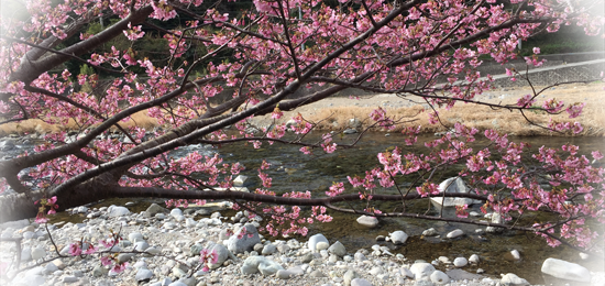 ストリラクセーションでストレスをコントロールしましょう