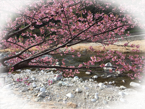 ストリラクセーションでストレスをコントロールしましょう