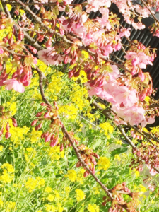 ストレス対処能力は社会的サポートが重要