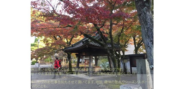 肝臓に優しいダイエットの目安は「半年で１０ｋｇ減」程度のゆるやかなダイエットです