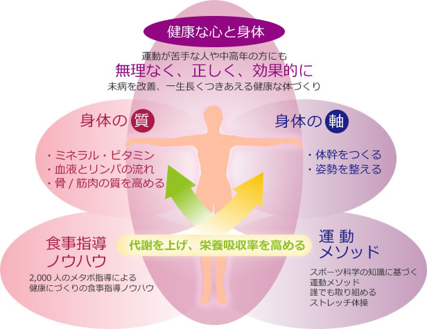 食事指導のノウハウと運動メソッド。2,000人のメタボ指導による 健康にづくりの食事指導ノウハウ。スポーツ科学の知識に基づく 運動メソッド 誰でも取り組める ストレッチ体操。代謝を上げ、栄養吸収率を高める。身体の質。・ミネラル・ビタミン、血液とリンパの流れ、骨/筋肉の質を高める。身体の軸。体幹を鍛える。姿勢を整える。健康な心と身体。運動が苦手な人や中高年の方にも 無理なく、正しく、効果的に 未病を改善、一生長くつきあえる健康な体づくり。