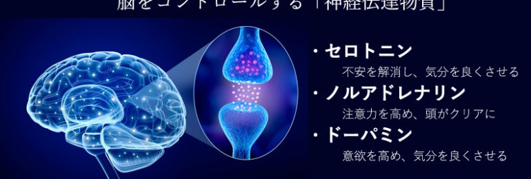 脳をコントロールする「神経伝達物質」セロトニン。不安を解消し、気分をよくさせる。ノルアドレナリン。注意力を高め頭がクリアに。ドーパミン。意欲を高め、気分をよくさせる。