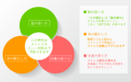 脳の使い方 「心の疲れ」は「脳の疲れ」 ストレスを感じにくくし、 うまく「逃す方法」があります。 体の動かし方 職場でできる簡単な ストレッチや呼吸法で ストレス指数は下げられます。 栄養の摂り方 ストレス耐性を高める 栄養素とそれが摂れる食事を 知っておきましょう。