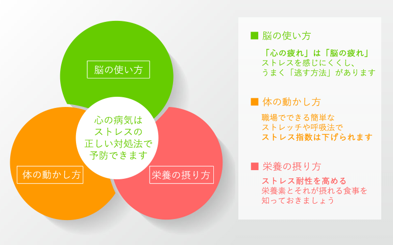 脳の使い方 「心の疲れ」は「脳の疲れ」 ストレスを感じにくくし、 うまく「逃す方法」があります。 体の動かし方 職場でできる簡単な ストレッチや呼吸法で ストレス指数は下げられます。 栄養の摂り方 ストレス耐性を高める 栄養素とそれが摂れる食事を 知っておきましょう。