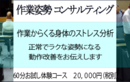 作業姿勢コンサルティング