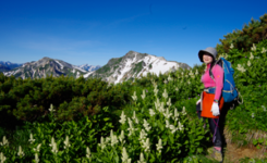 登山で痩せない理由